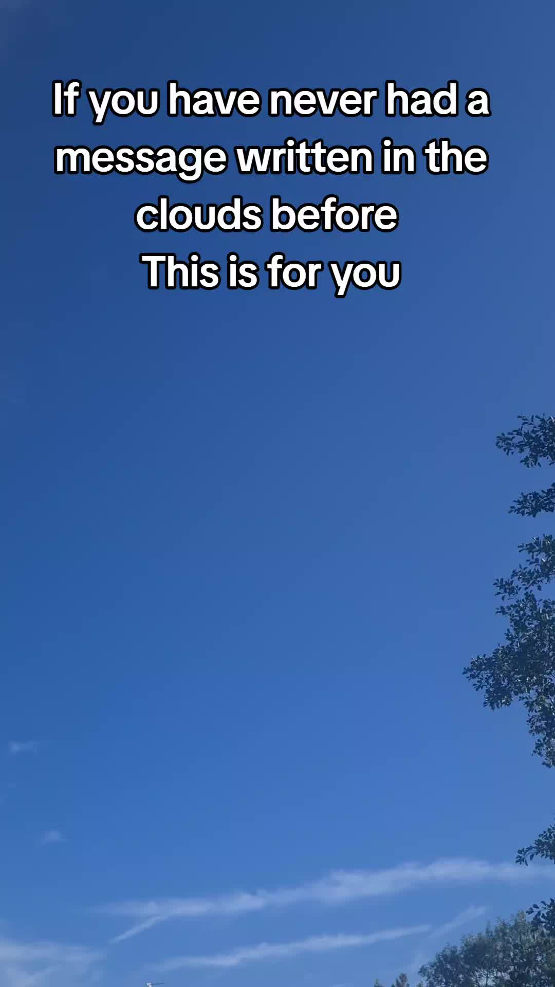 @shauntheblanker