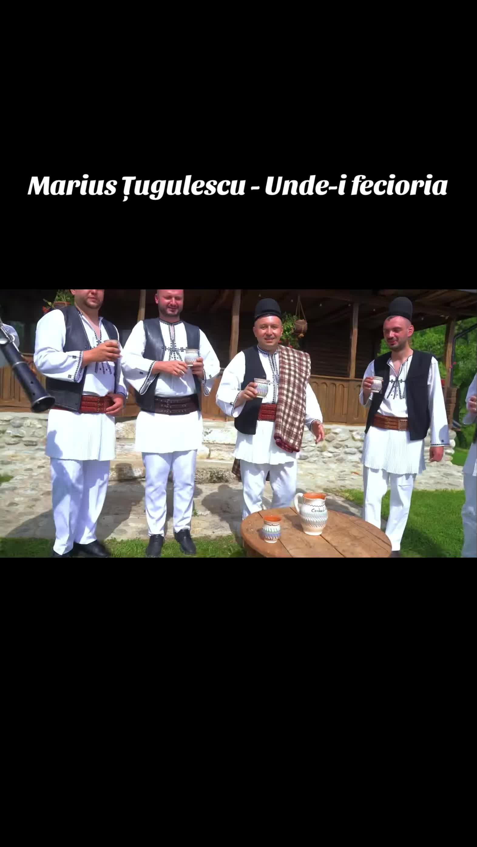 @Marius Tugulescu
