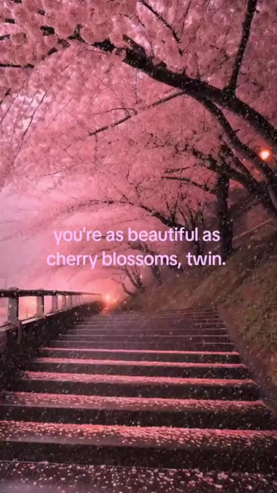@PinkTok🩷🤙🏼