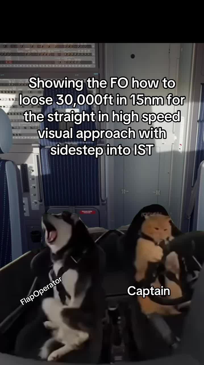 @Flap Operator