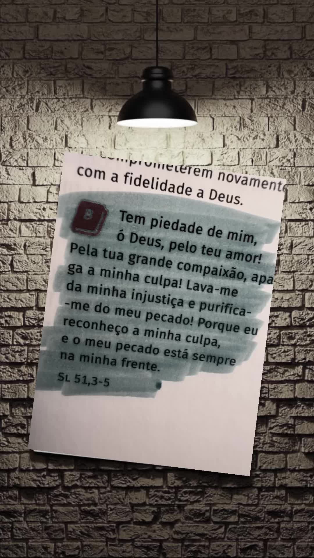 @Sofia Inácio