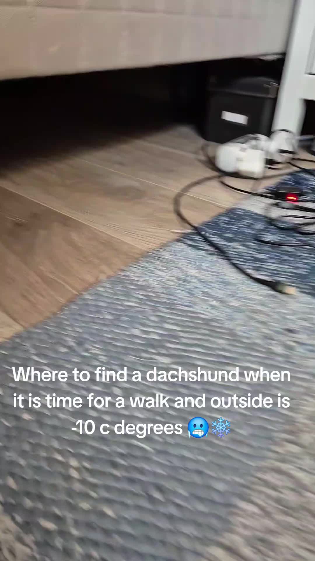 @Maria