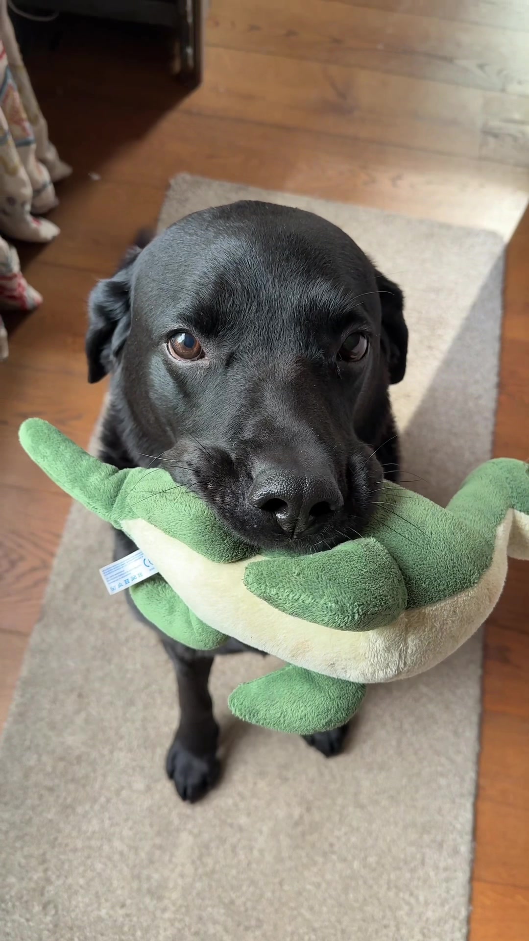 @Denzel The Labraseal