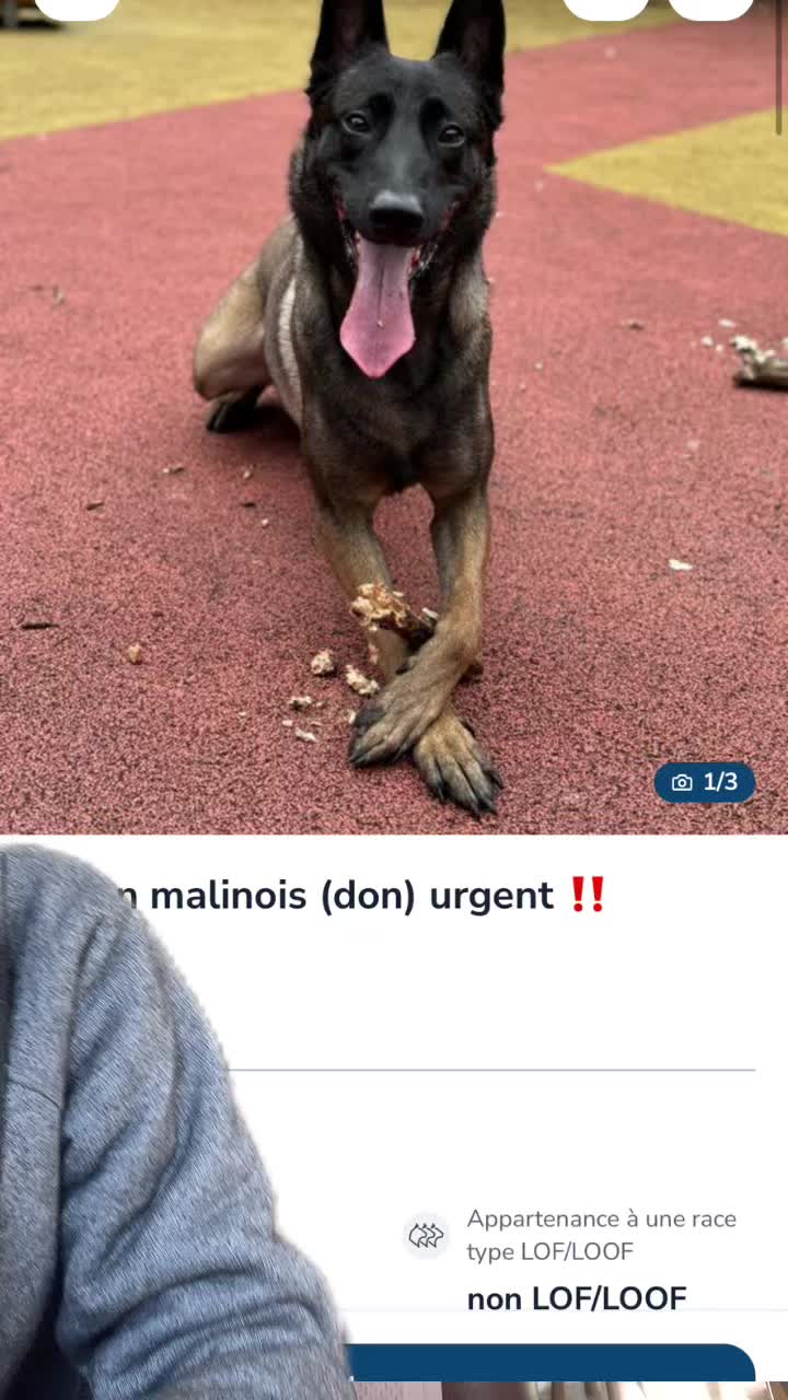 @urgence.annonce