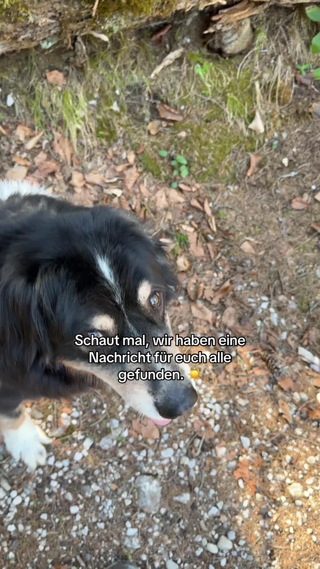 @michael_perdacher