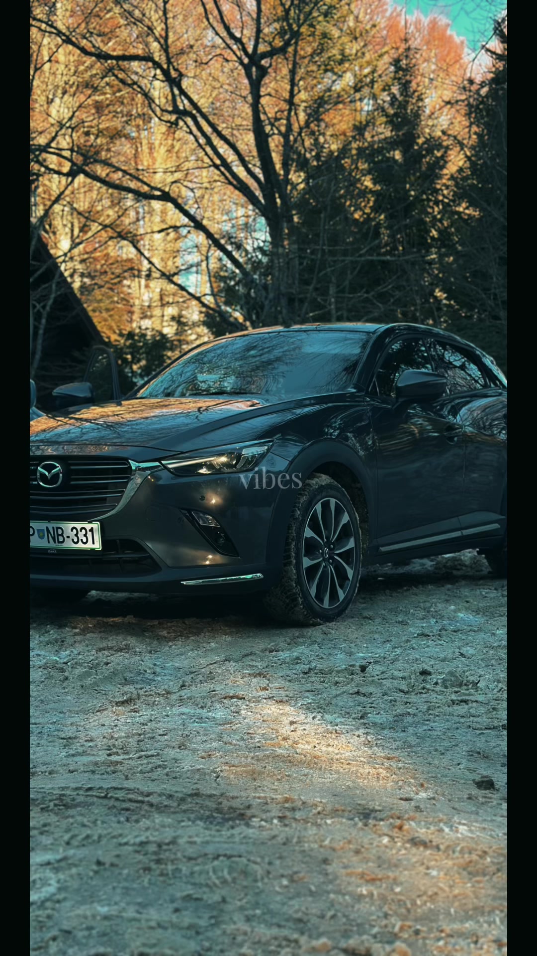 @Dejvid