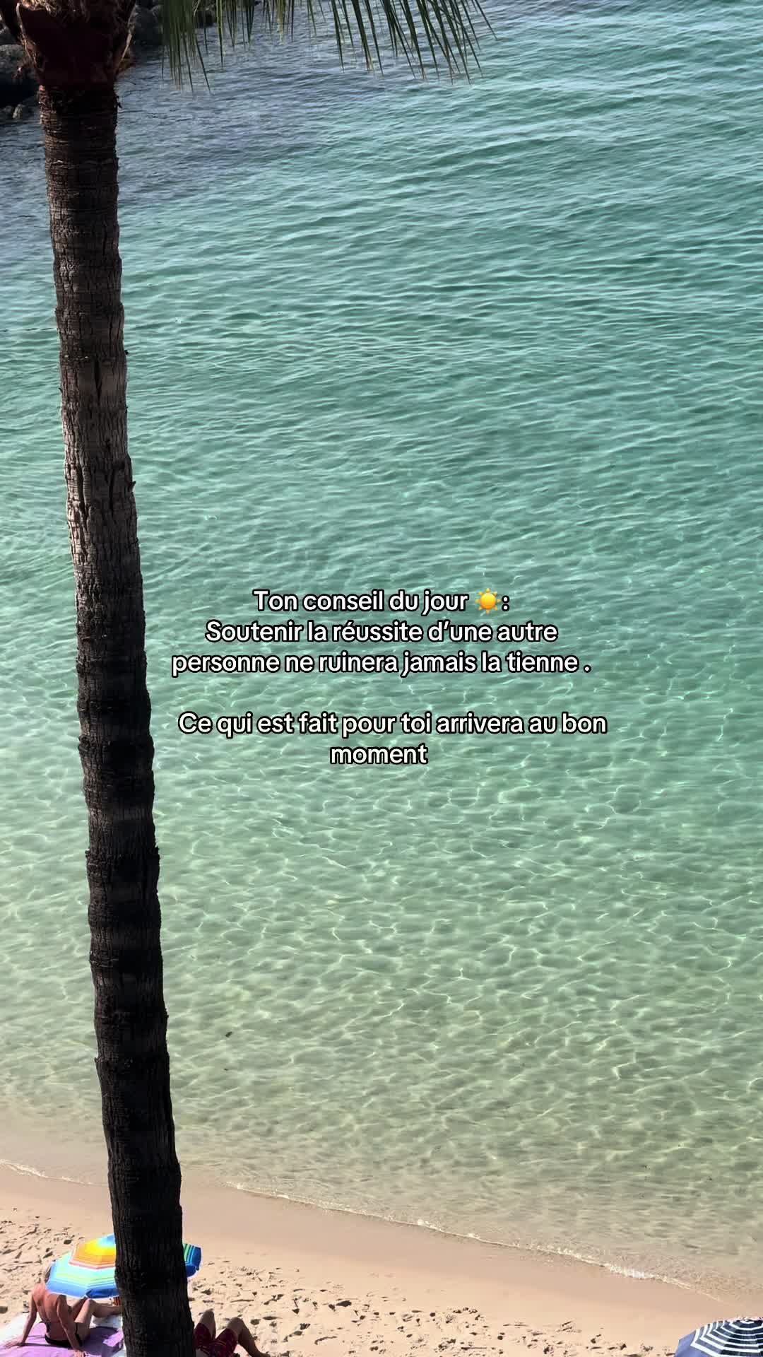 @karla.abecassis