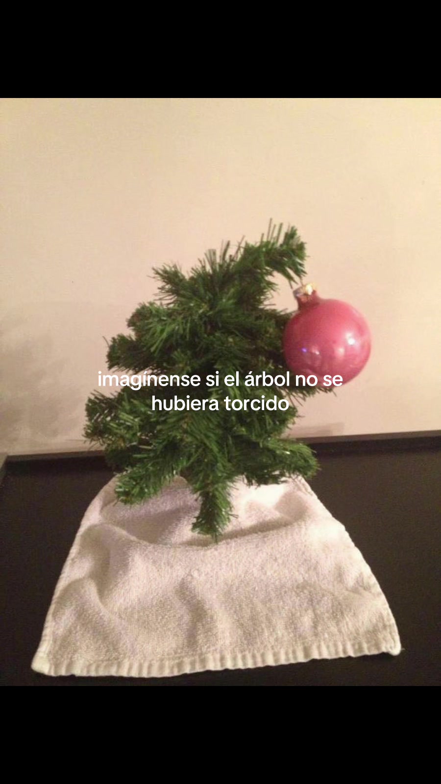 @Sofia Monroy