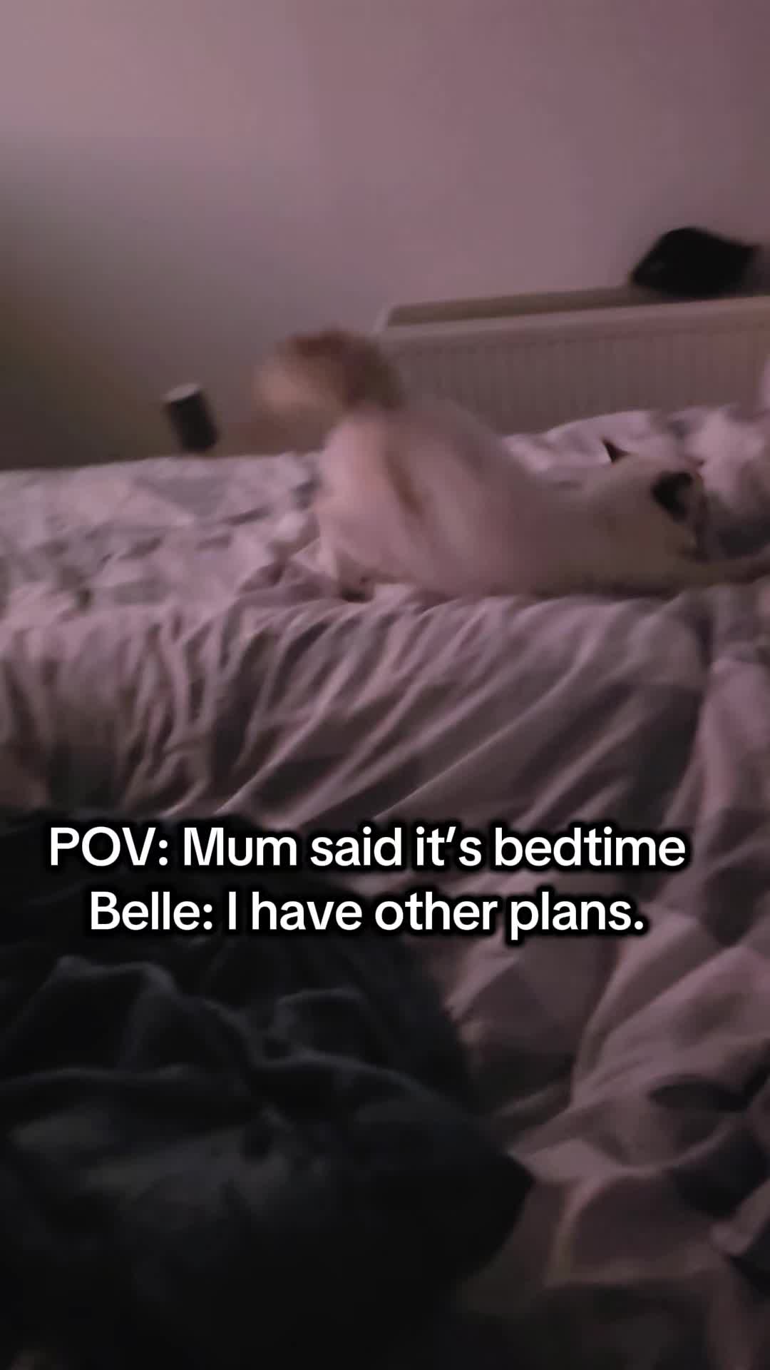 @DailyDoseOfBlu&Belle