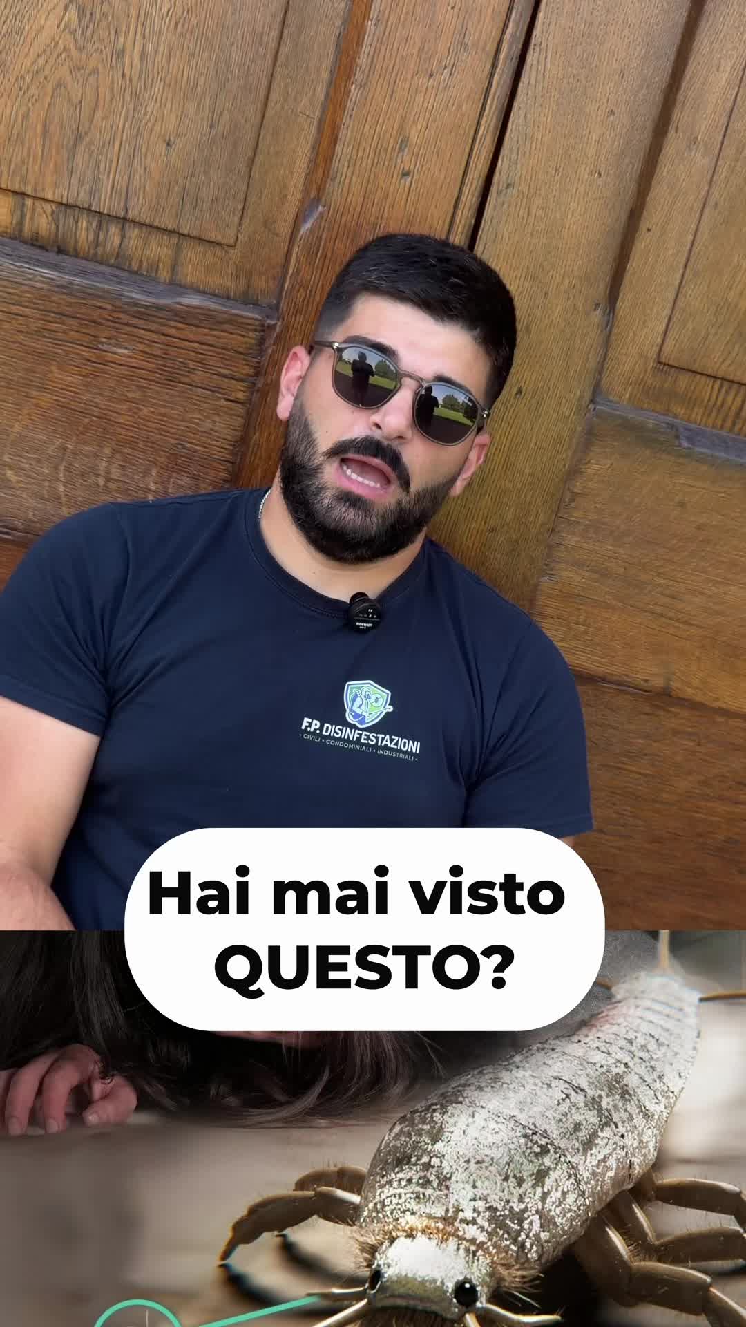 @FP Disinfestazioni