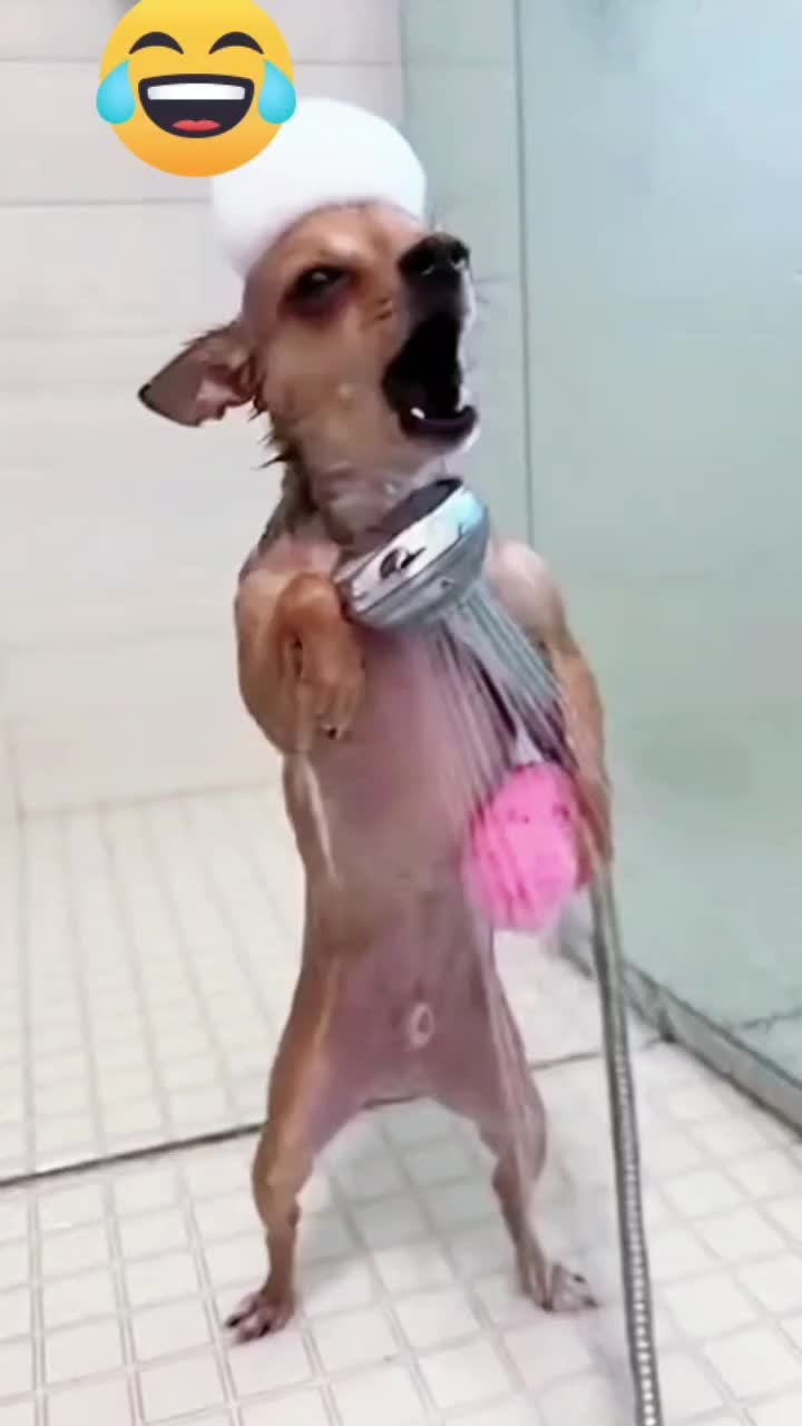 @michybezzi