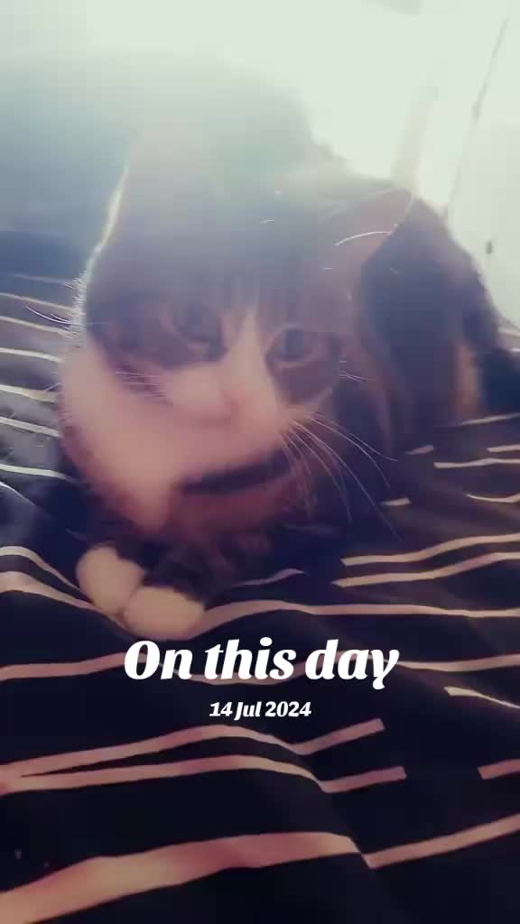 @๐ฆ April'Monique ๐ฆ