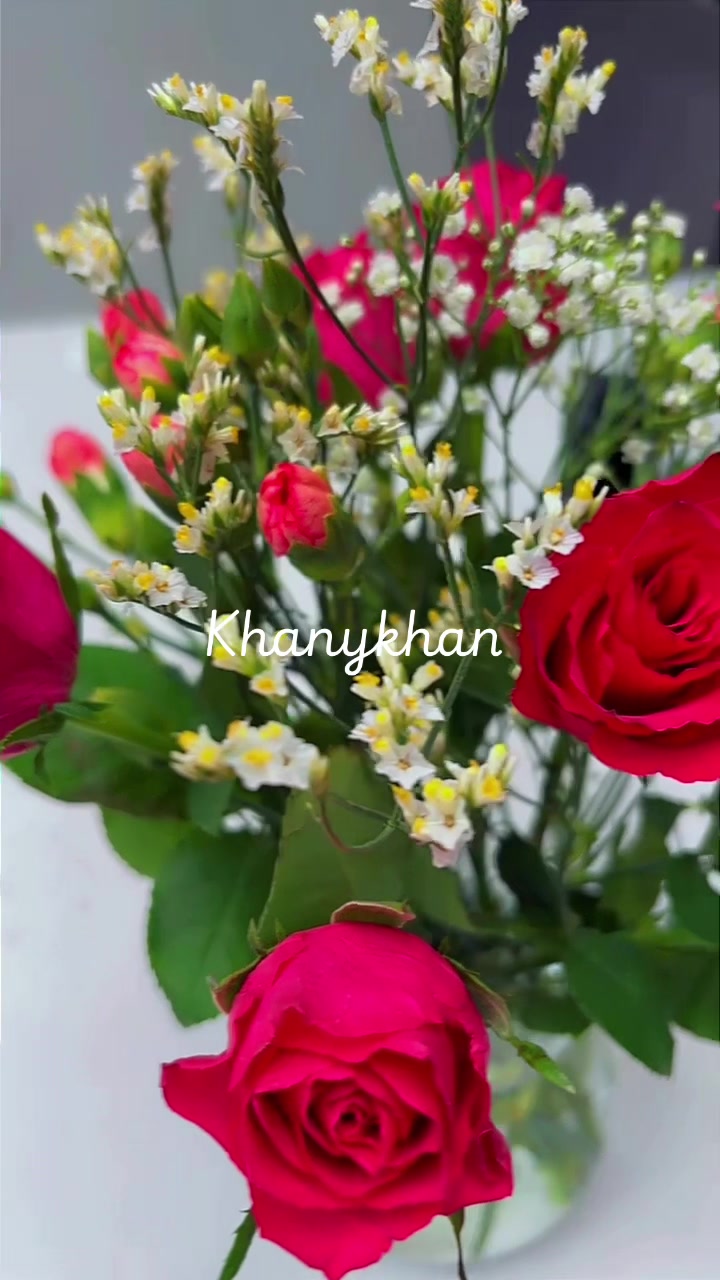 @❤️❤️خاني خان❤️❤️