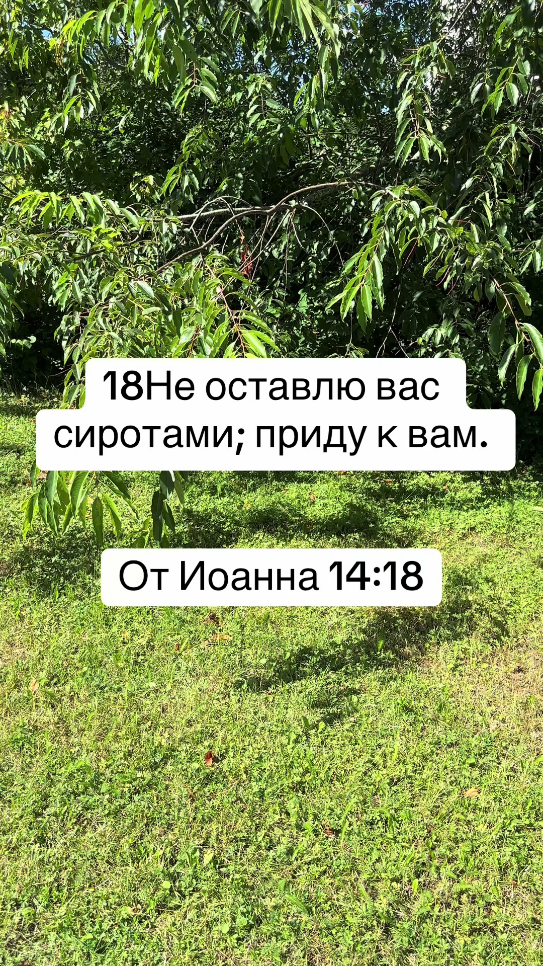 @ОТКРОВЕНИЕ 20:7