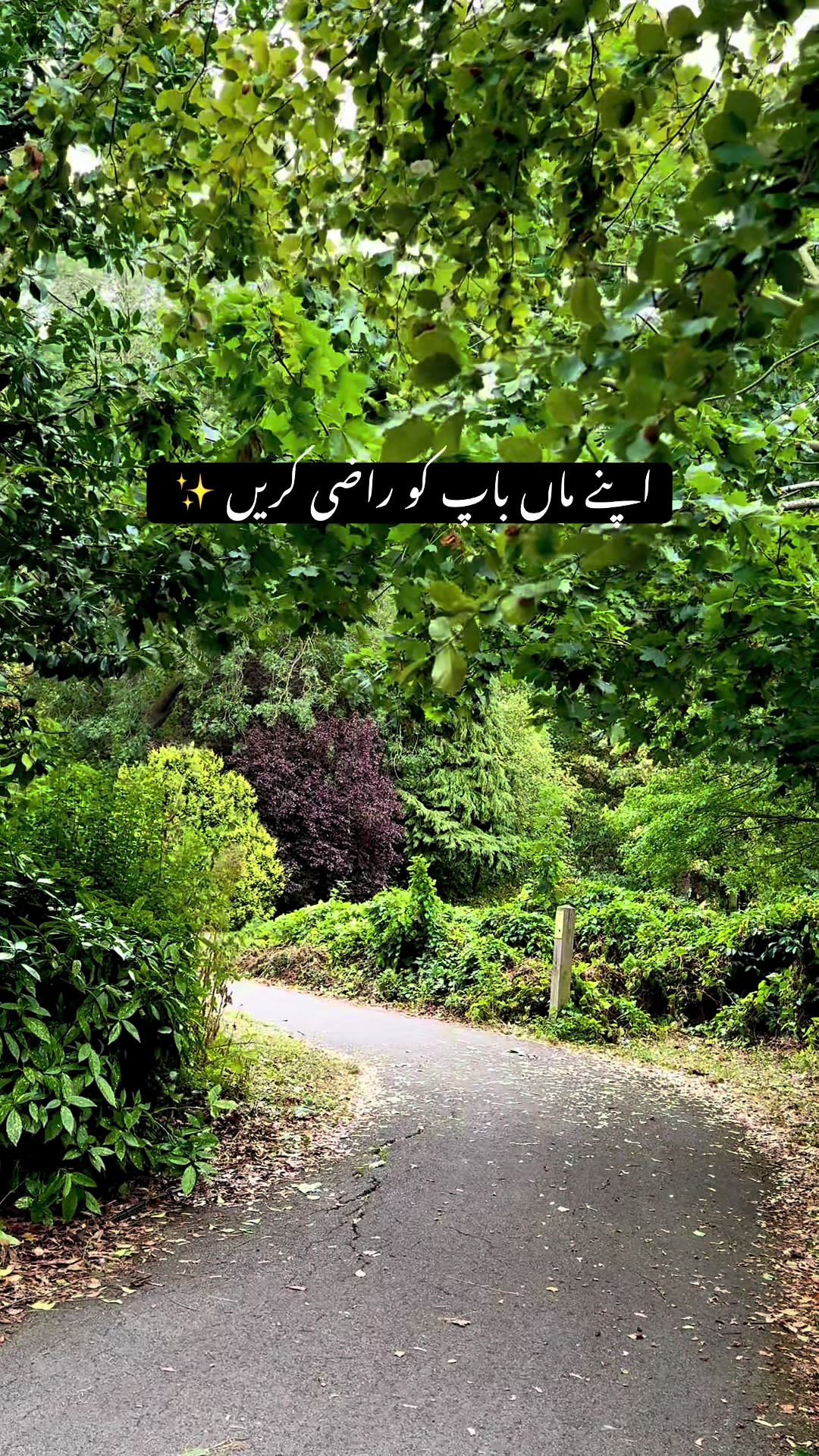 @Pardesi🦋🇬🇧