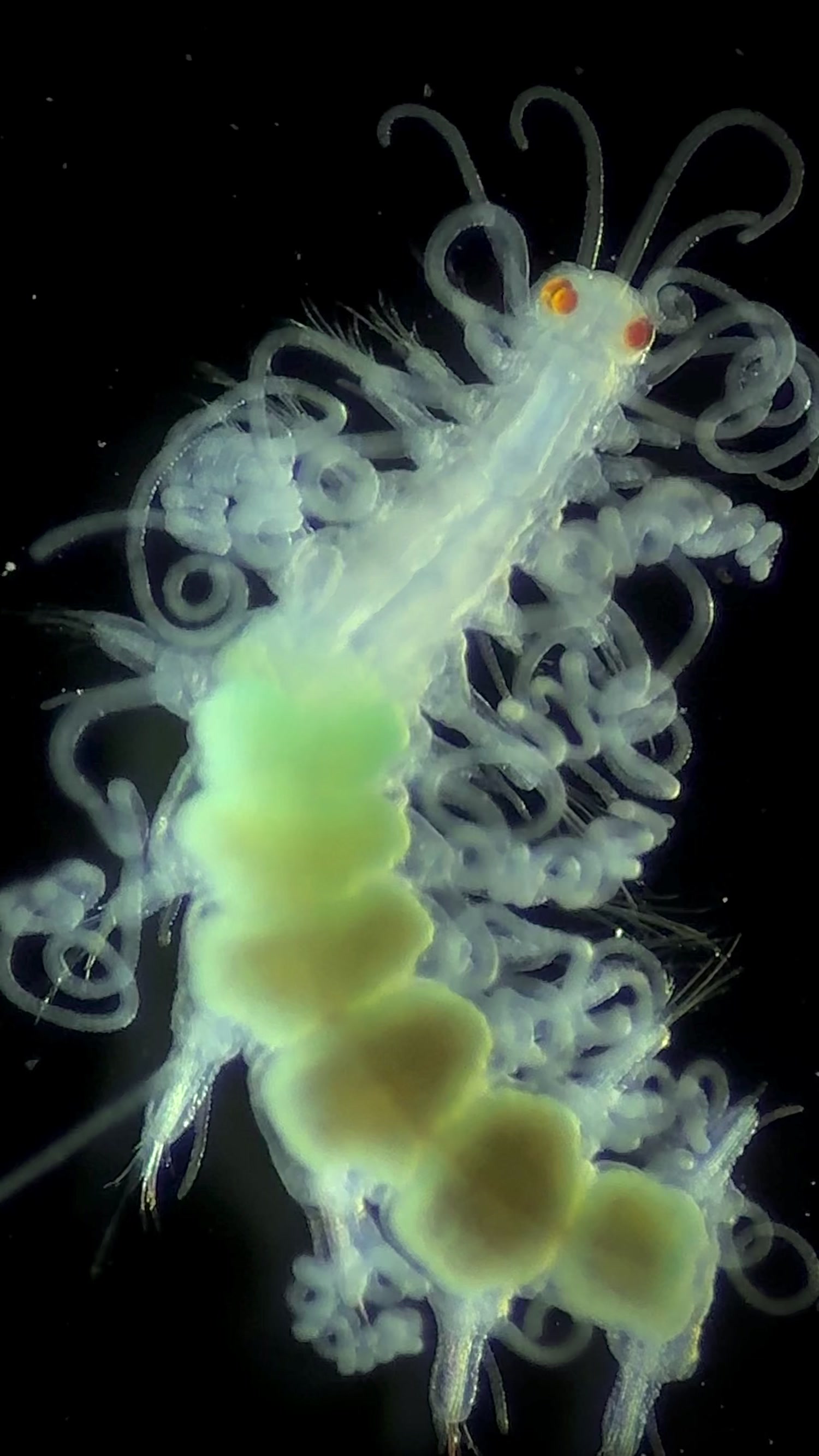 @The_story_of_a_biologist
