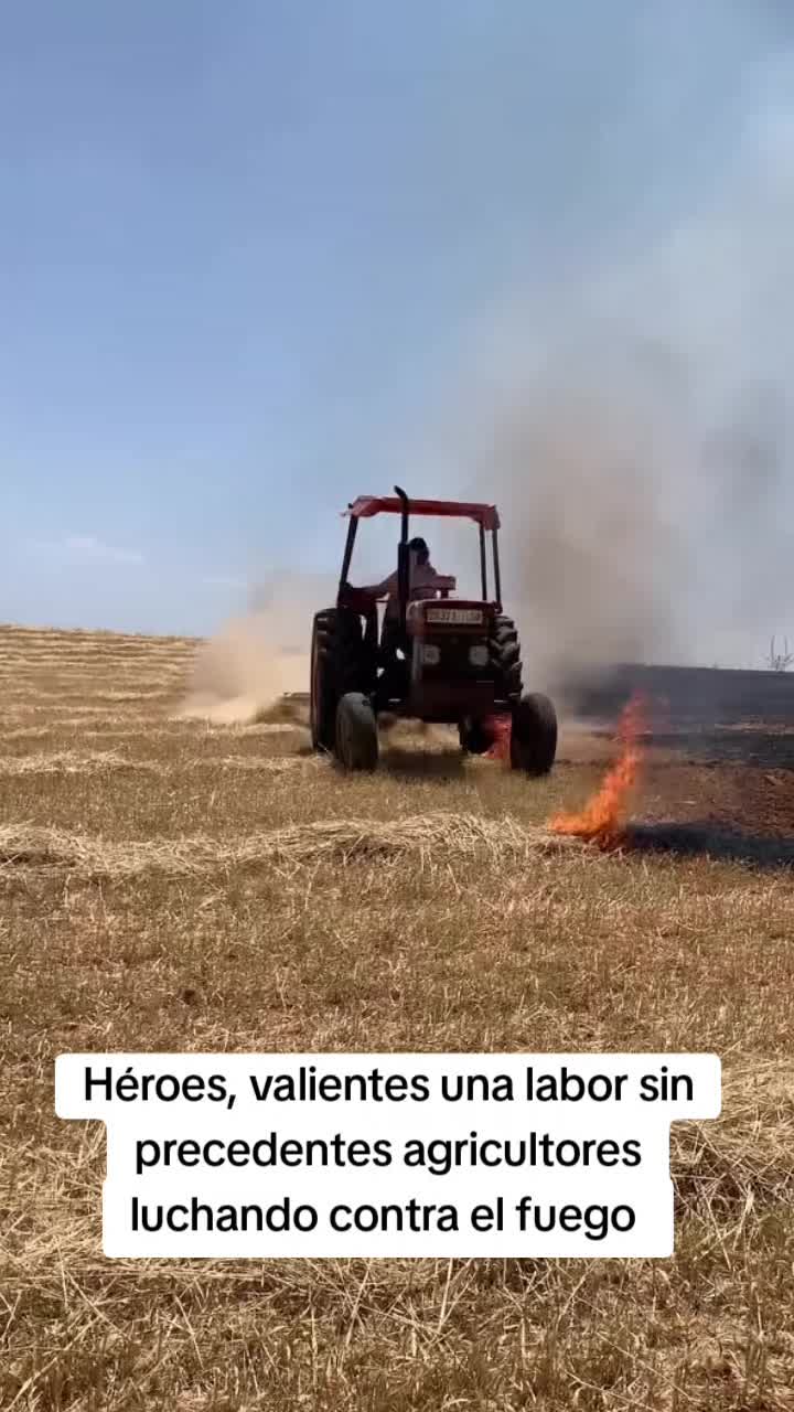 @javiersanchezlibra
