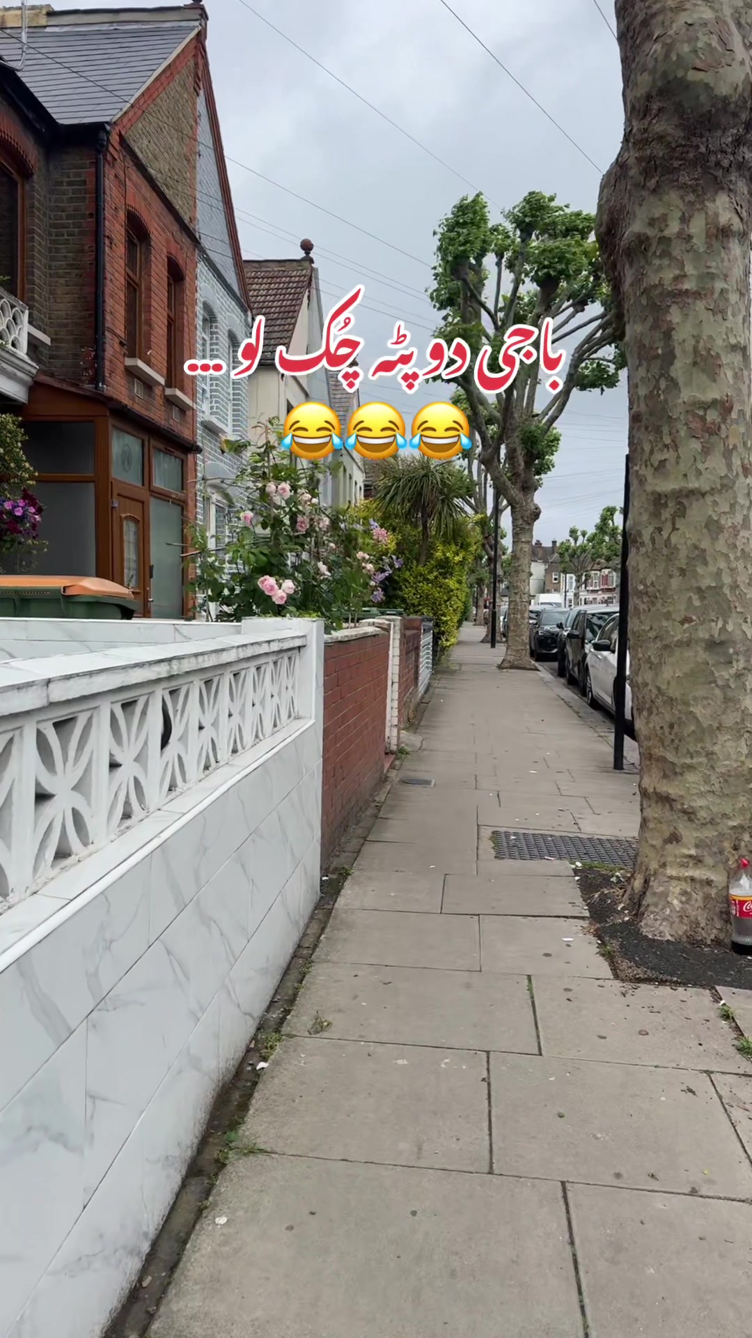 @Mehreen_Ahmed