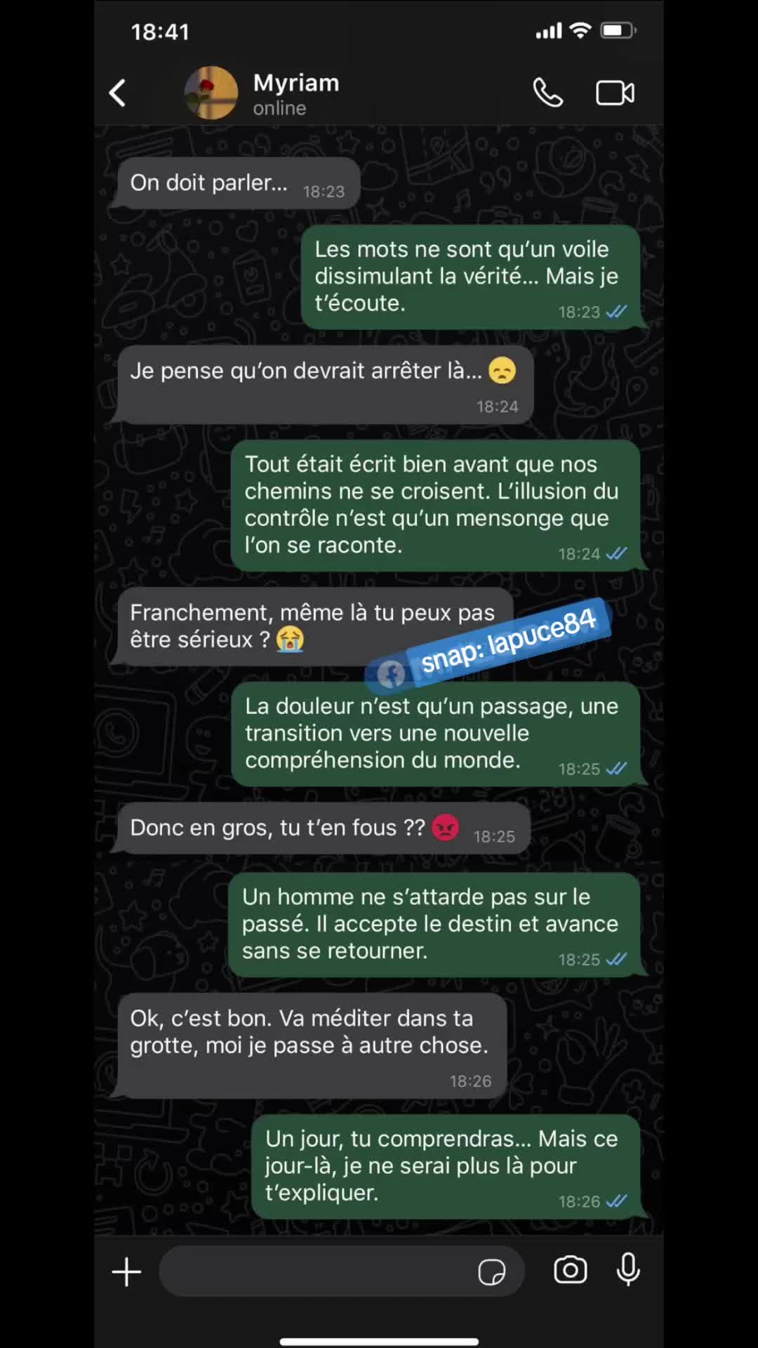 @HLapuce92
