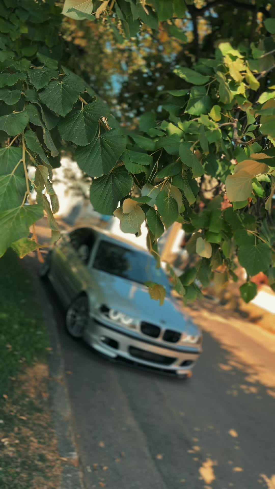 @𝓜𝓪𝓻𝓮𝓼𝓲 𝓜𝓪𝓻𝓲𝓸
