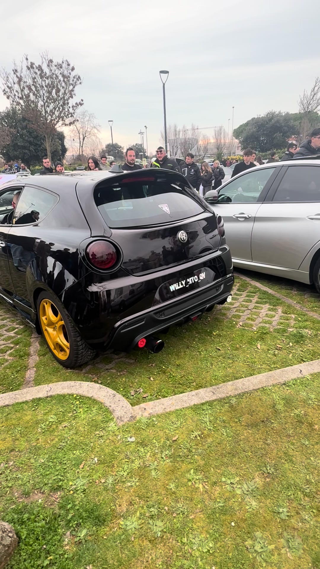 @Elite Alfisti Club