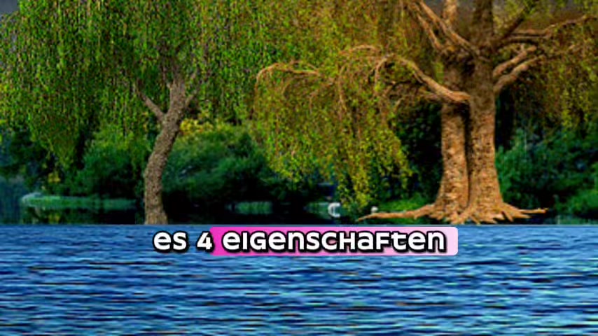 @_einfach_erfolgreich_🚀