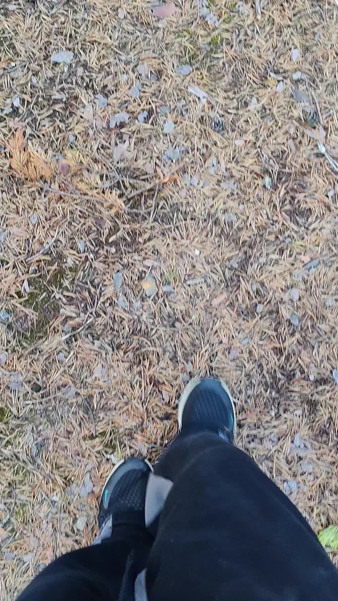 @25Kmh