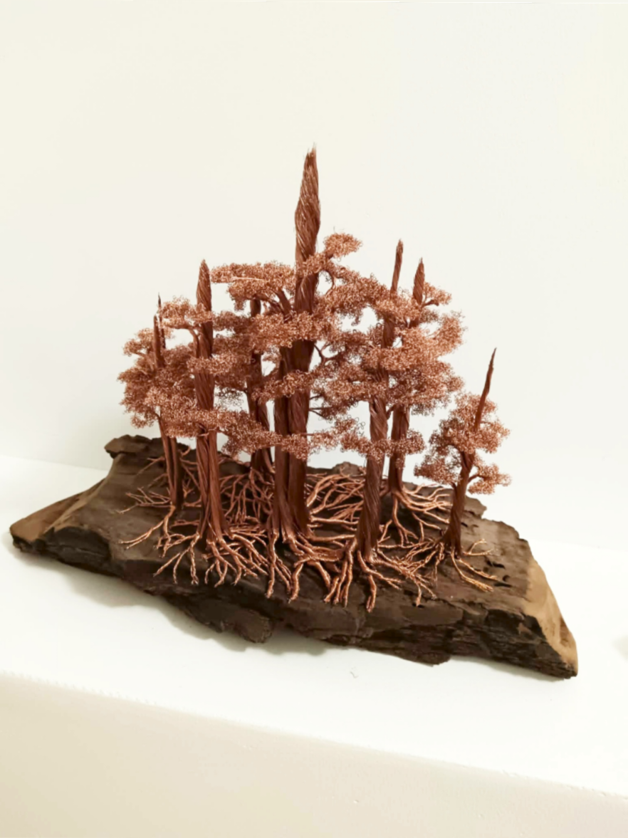 @TreeofLifeArtfan