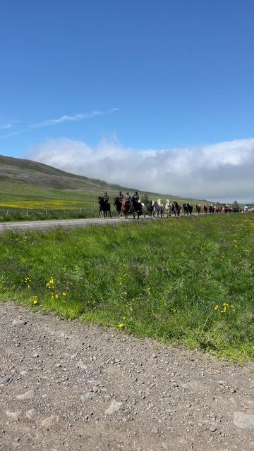 @nordwind_reitreise