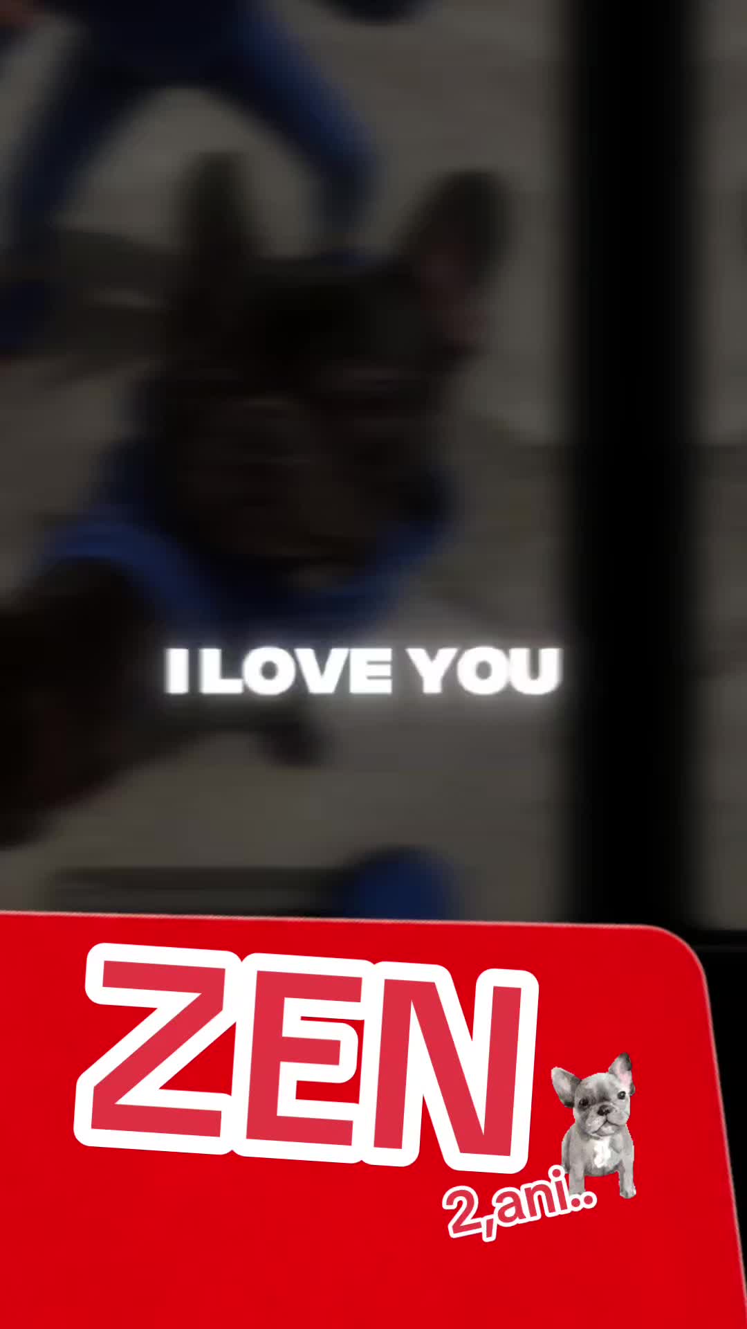 @2023