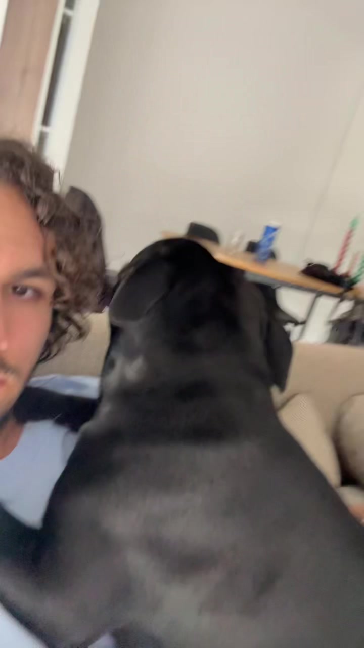 @staffie.young.tao