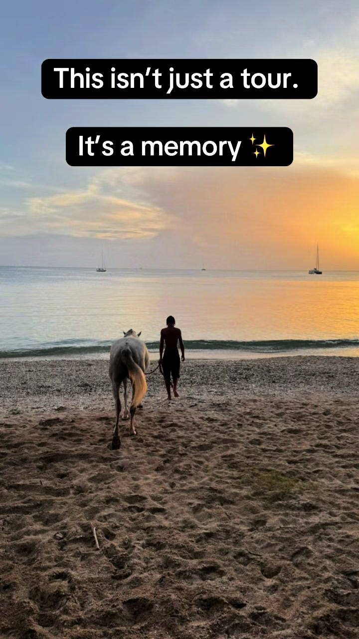 @roots_riding_stables