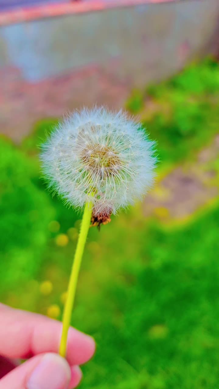 @๐๐ ๐ ๐ โ๐๐ซ ๐๐ ๐๐ฌ๐ง