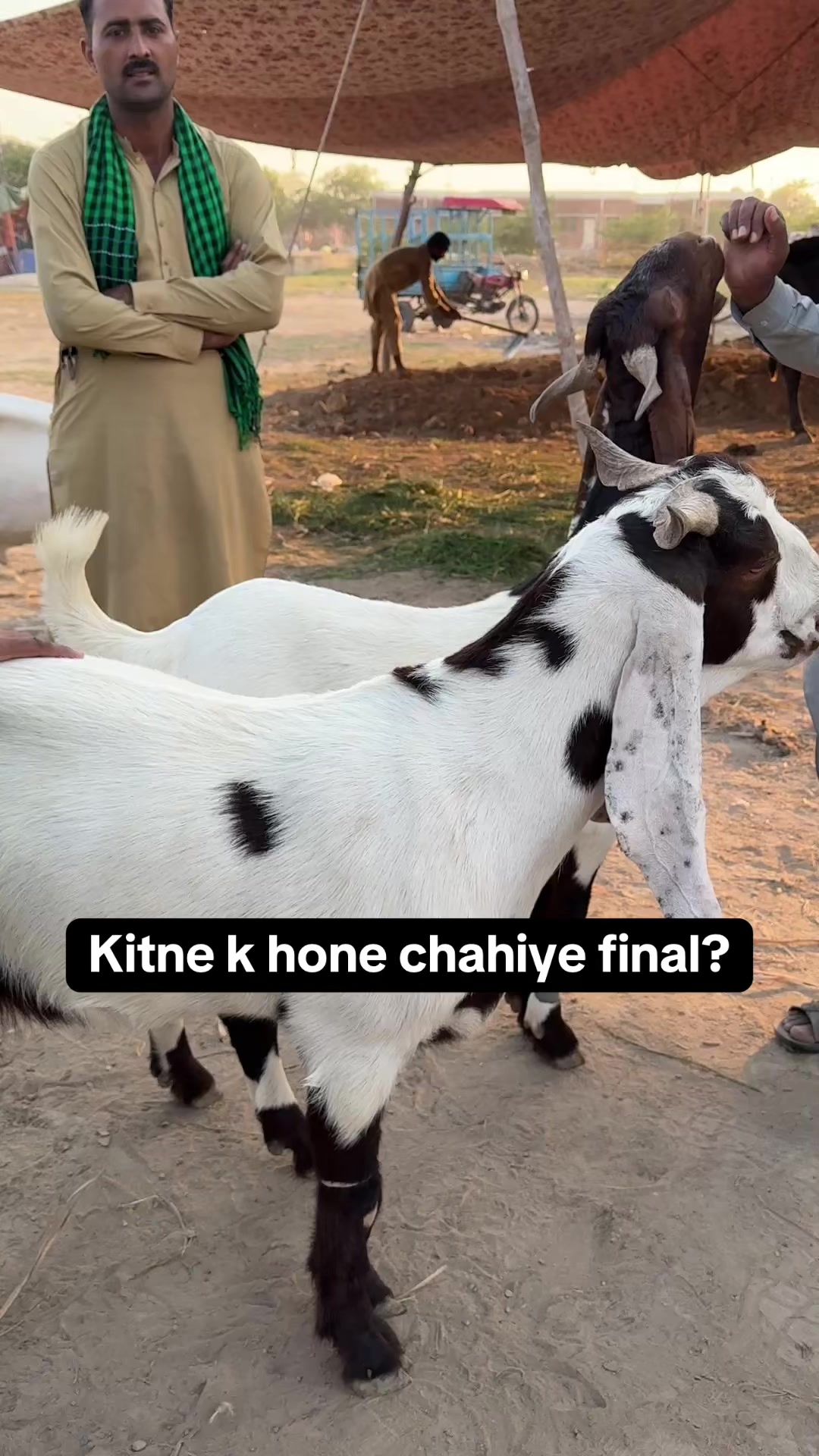 @Hamza Ahmed Khan