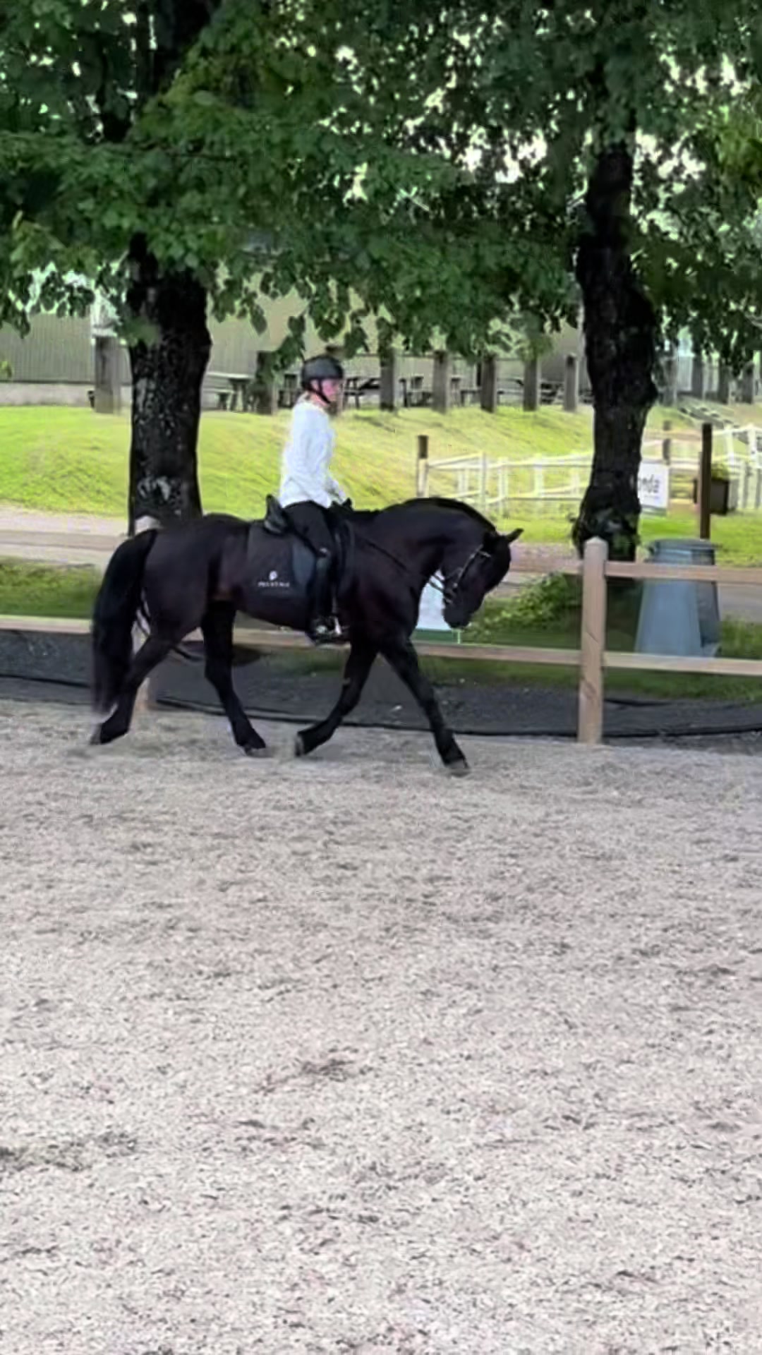 @Coreen Grønvold Belgen🇳🇴