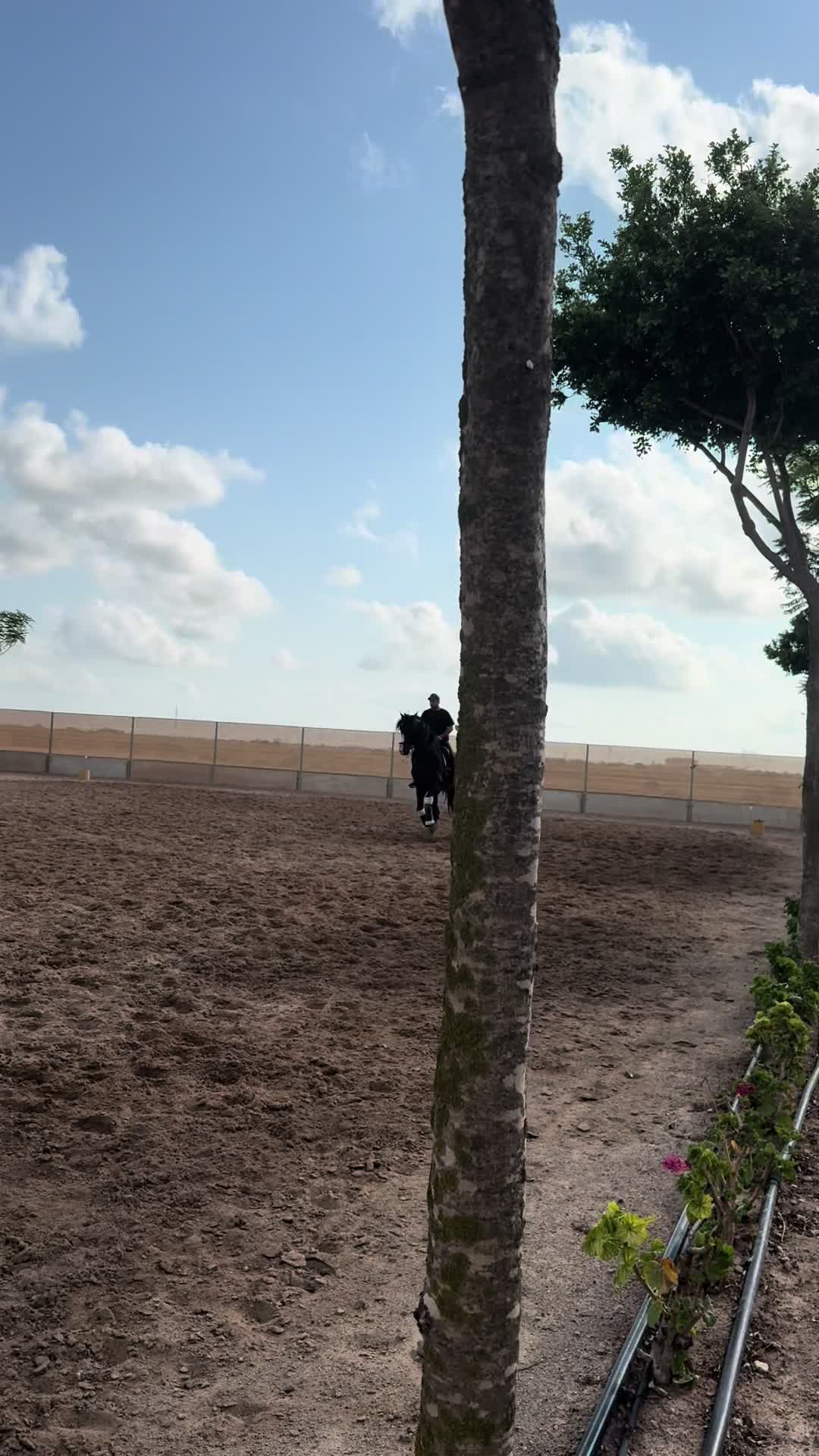 @heredia91caballos
