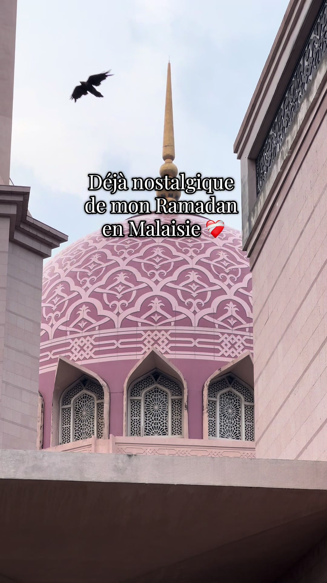 @dr.imene.allergo
