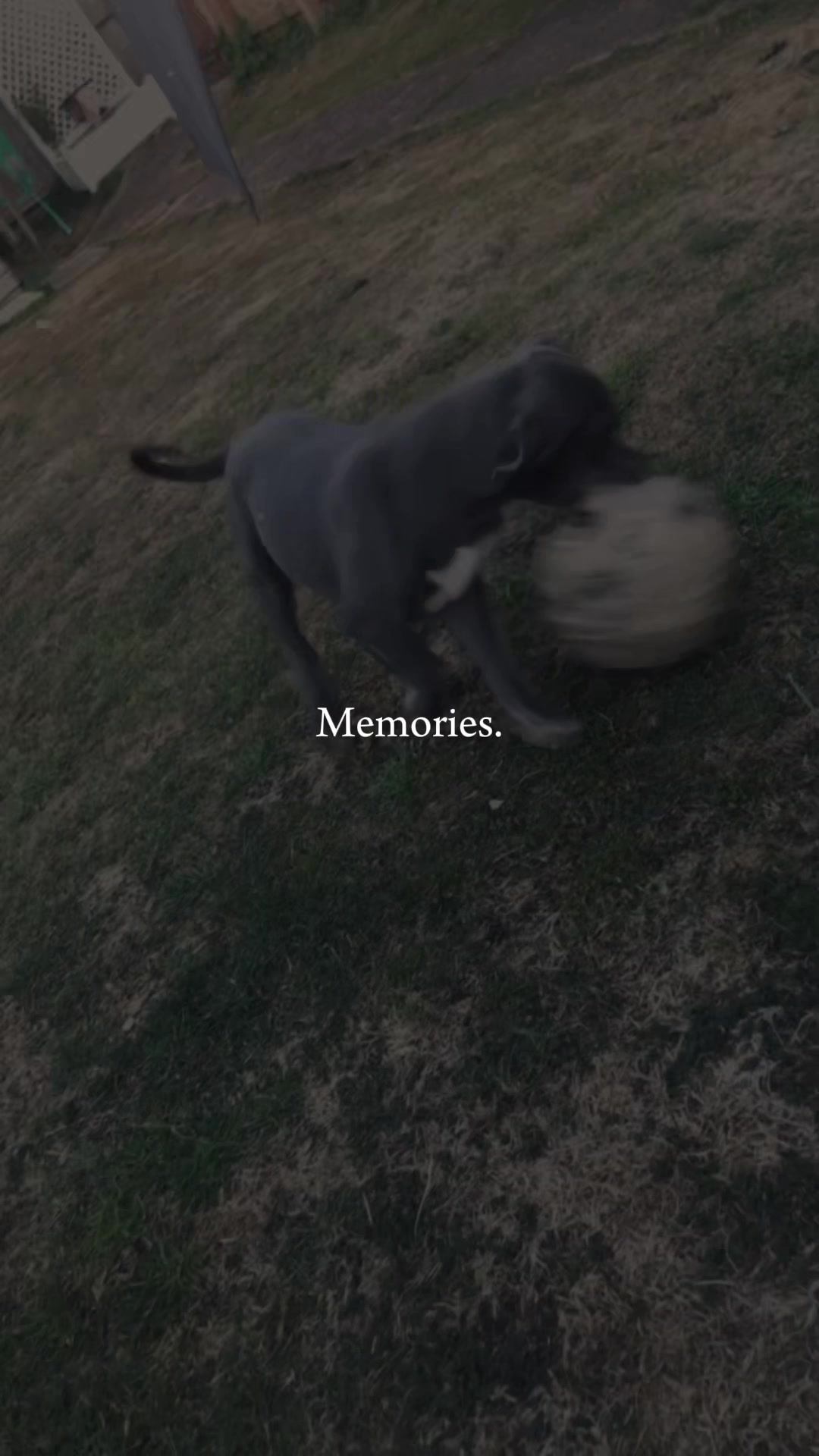 @Georgia2002G