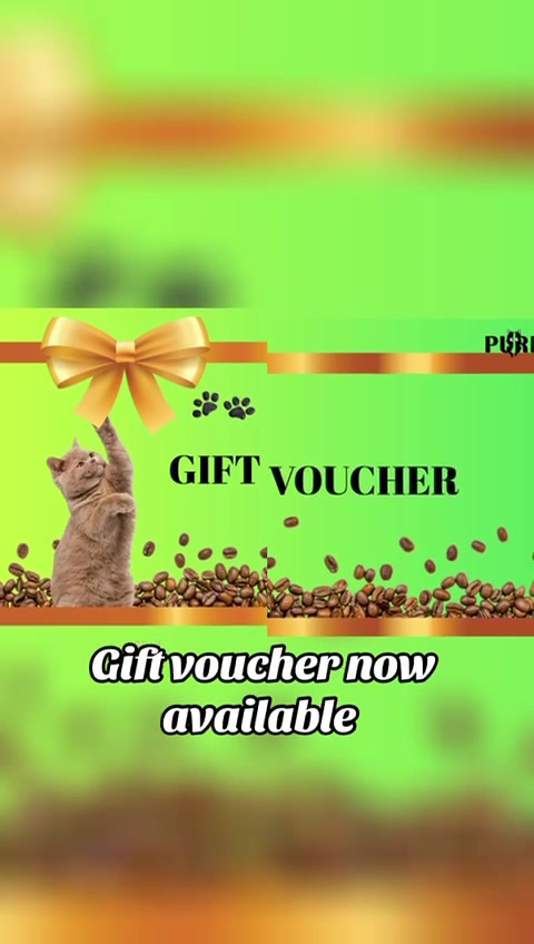 @Purrfect Caf&eacute;
