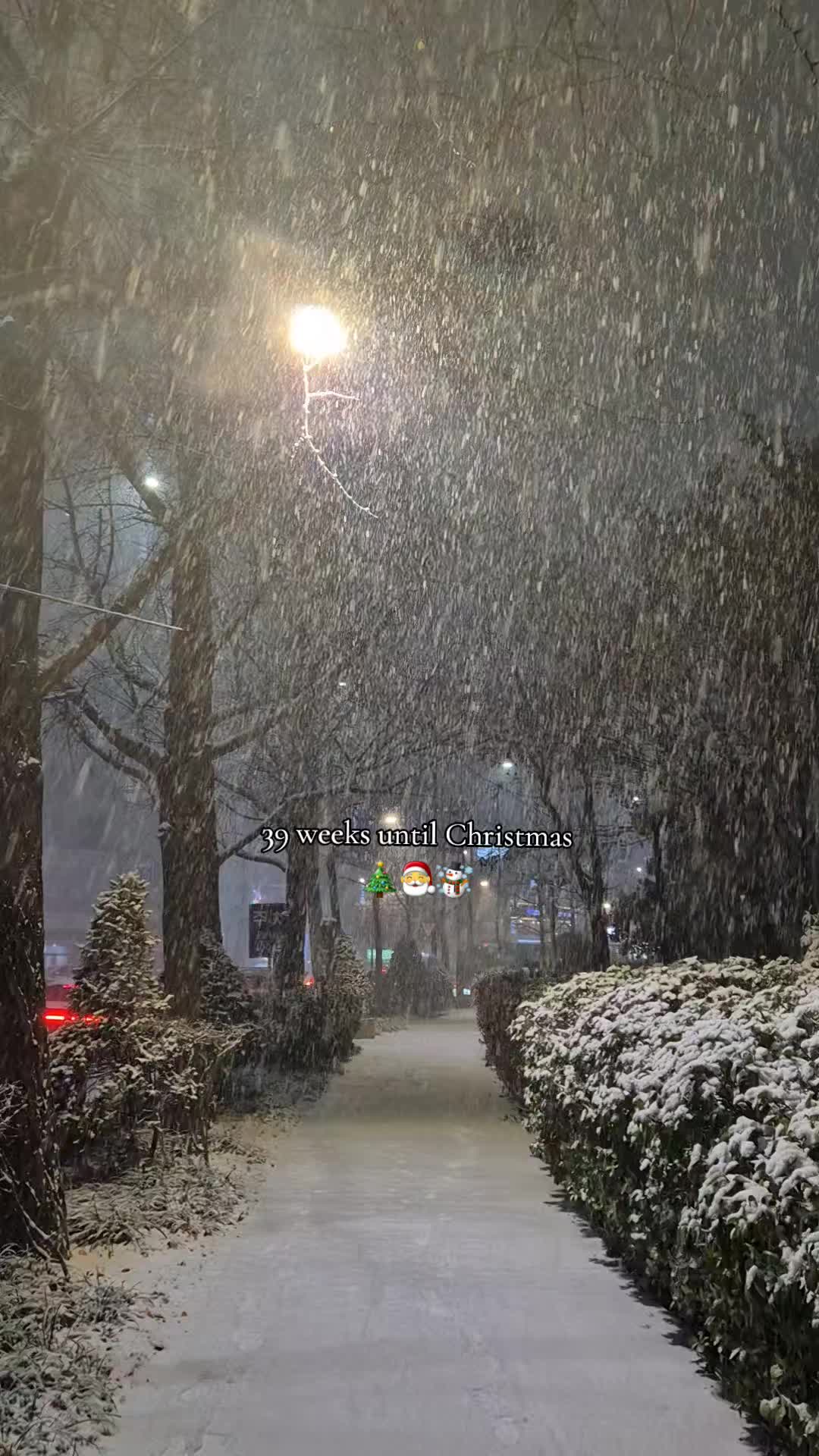 @Winter Vibes