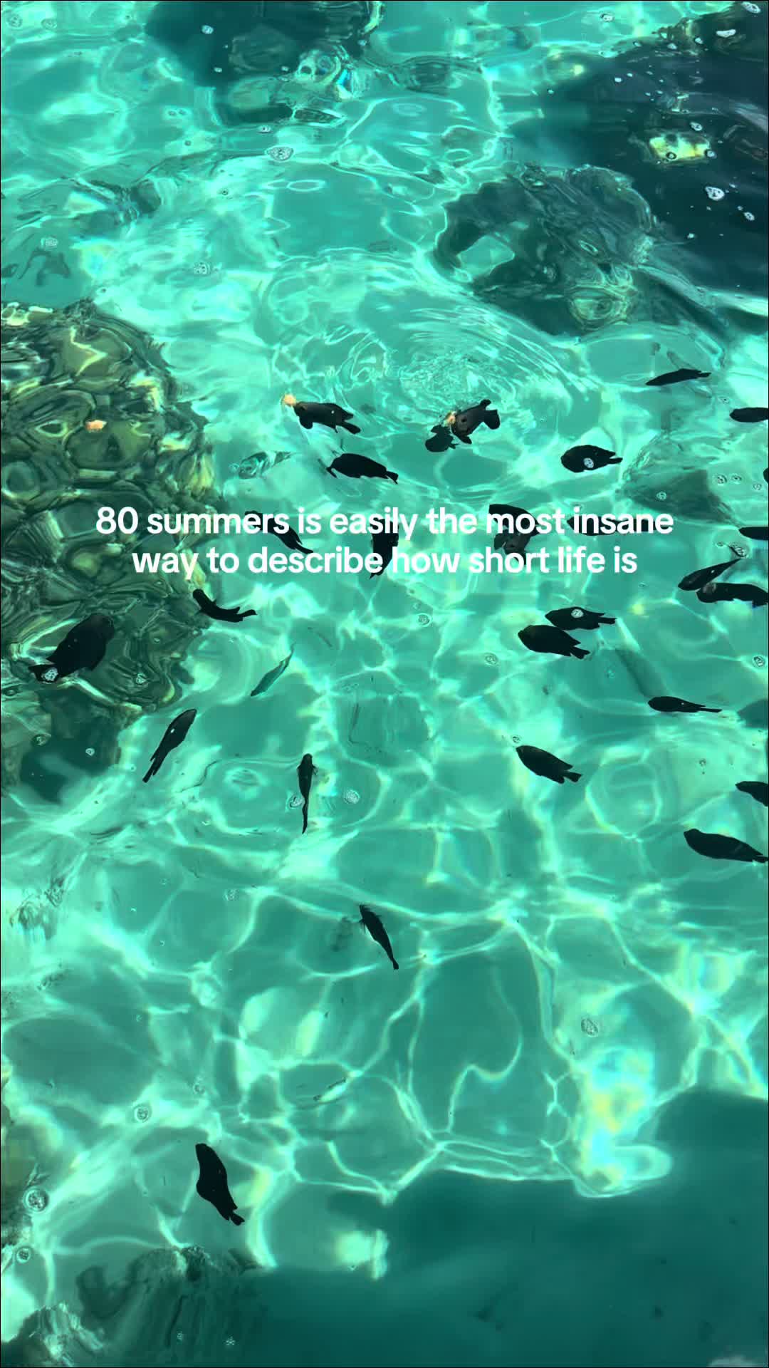 @oui bébé