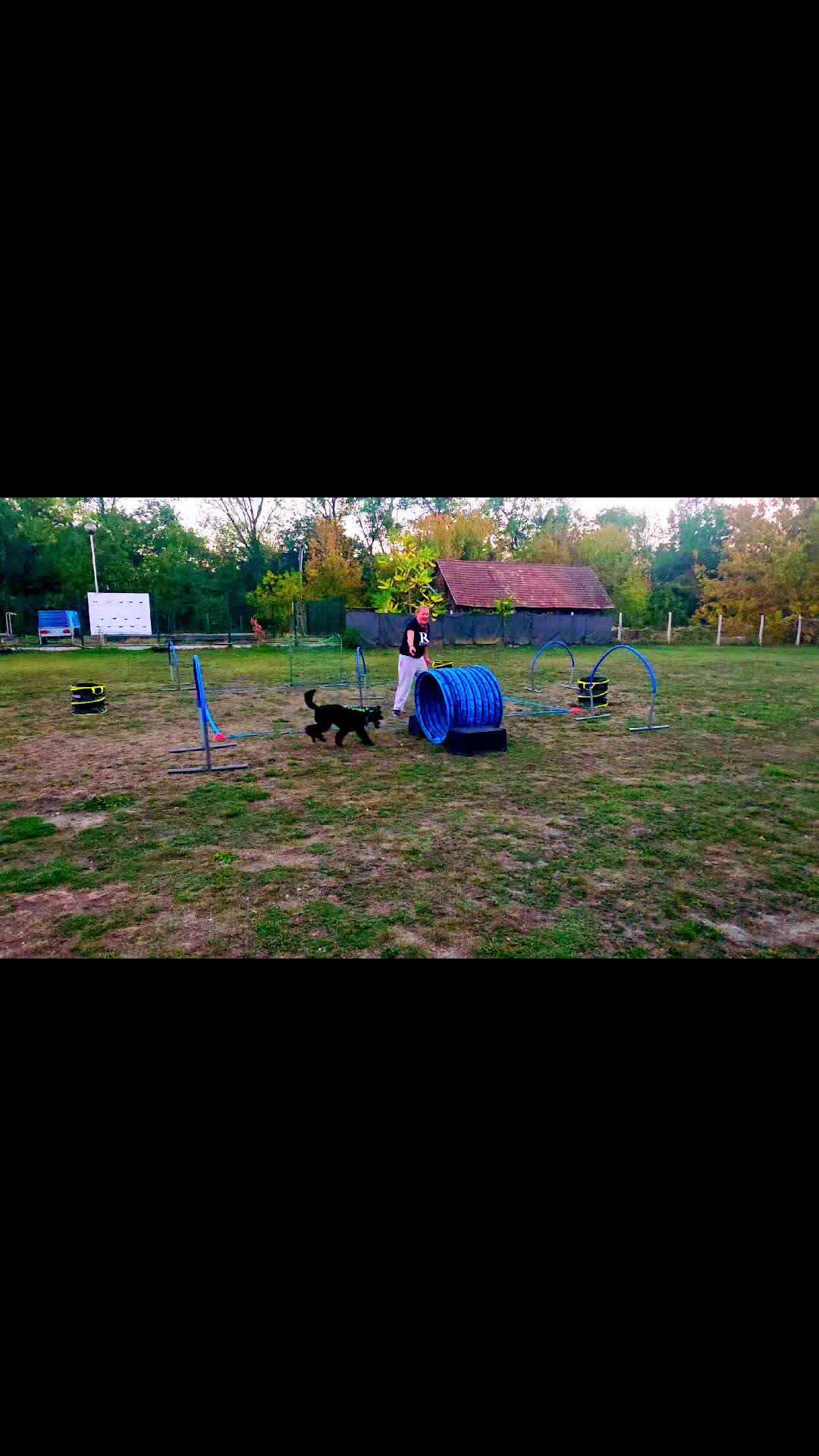 @Szigeti Kutyasuli 2015