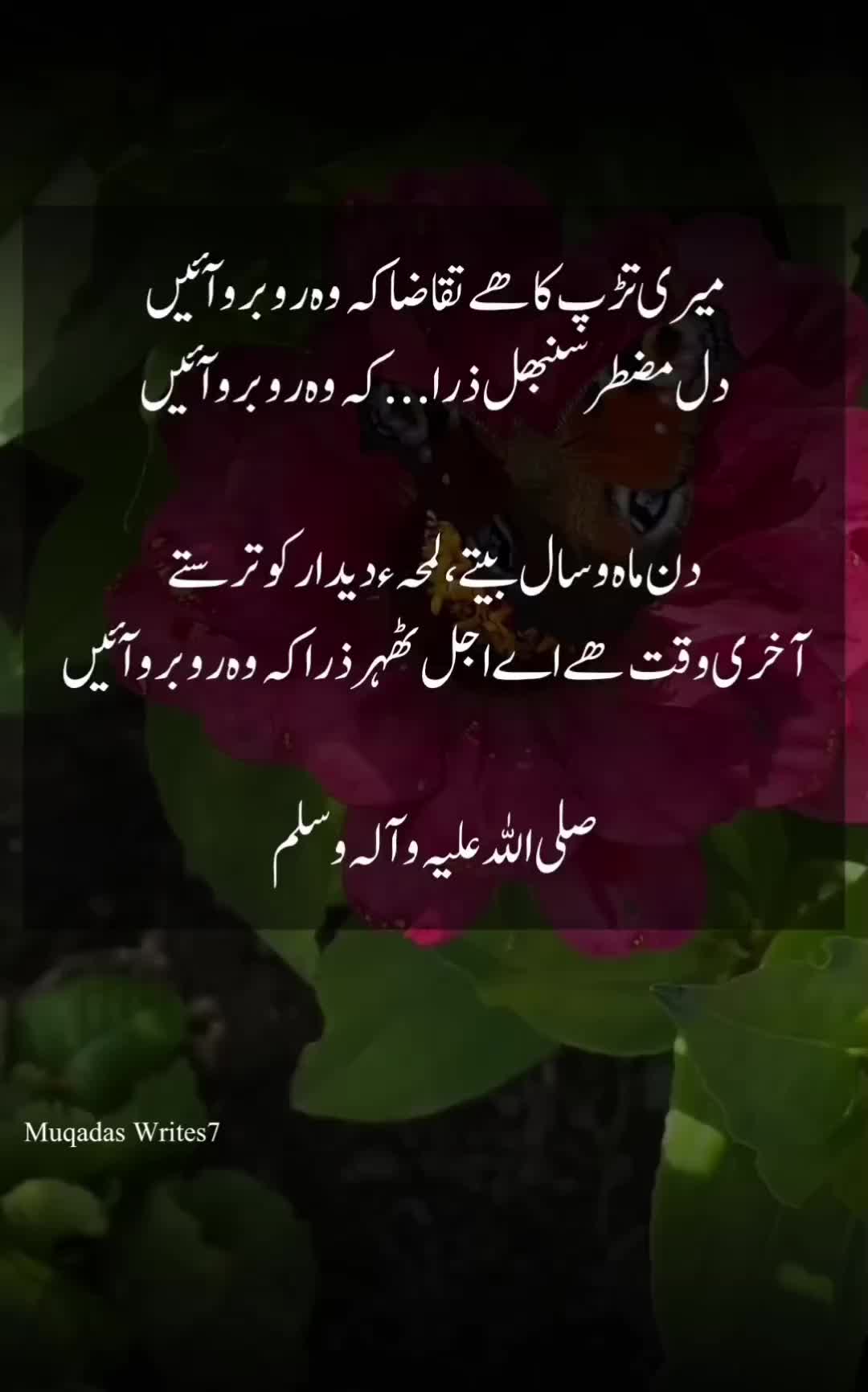 @Muqadas Writes