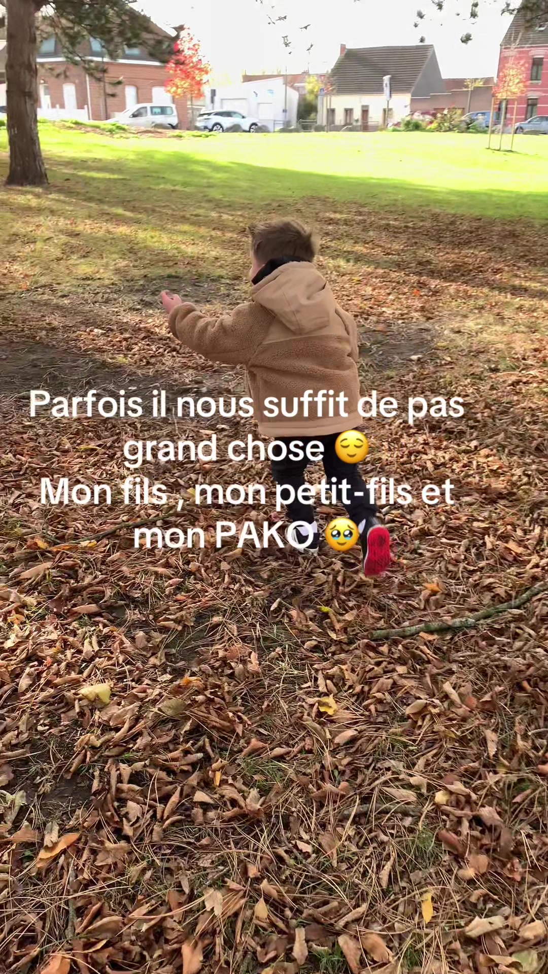 @🐺 PAKO Husky Sibérien