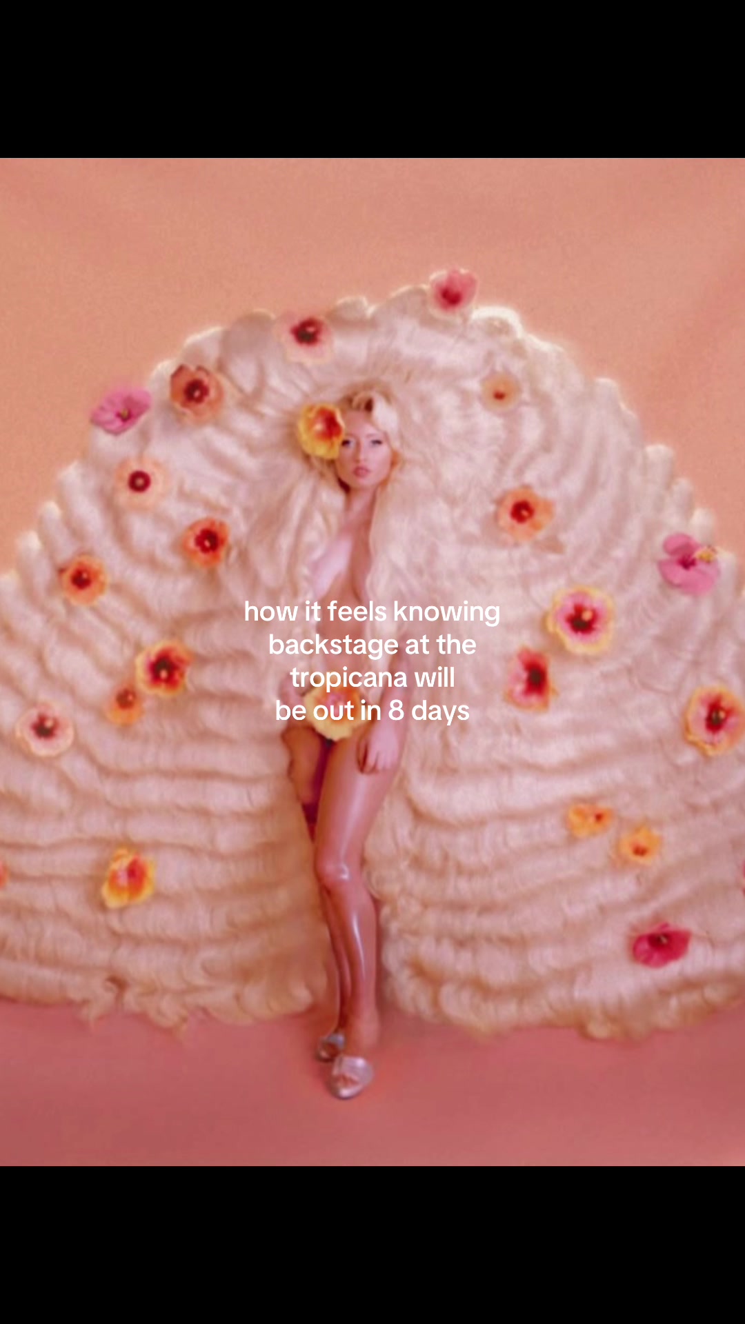 @｡⋆🌺˚