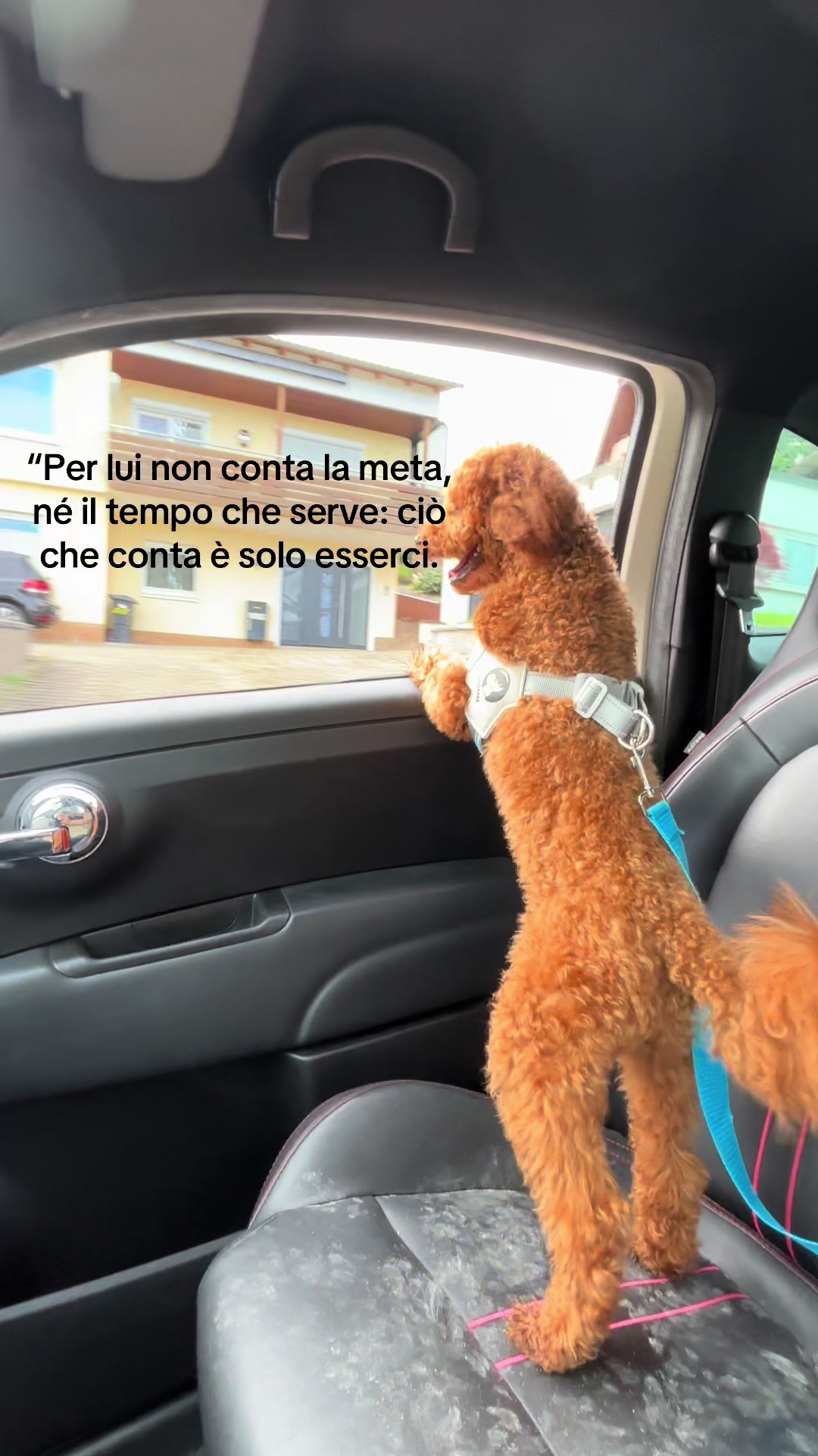 @Raffaele