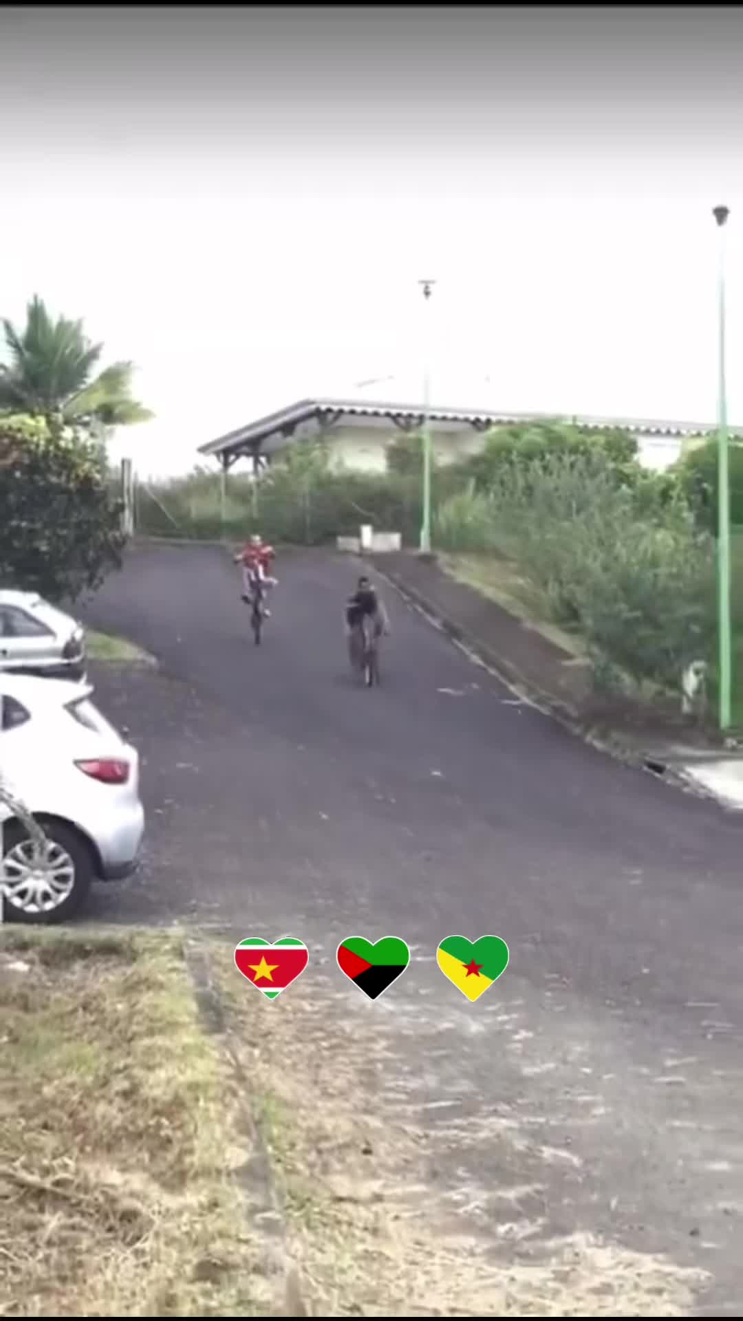 @caribbean.addiction