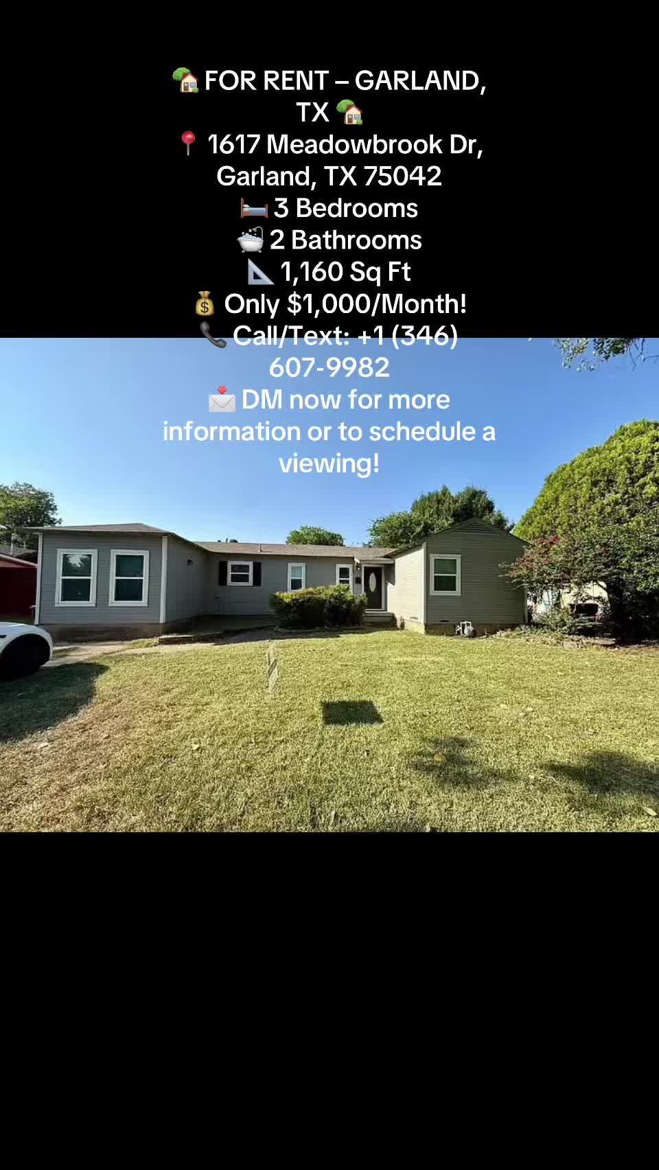 @lowbudget house rent
