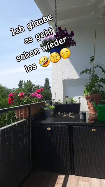 @⚜️_Nick_sein_Ernst_⚜️