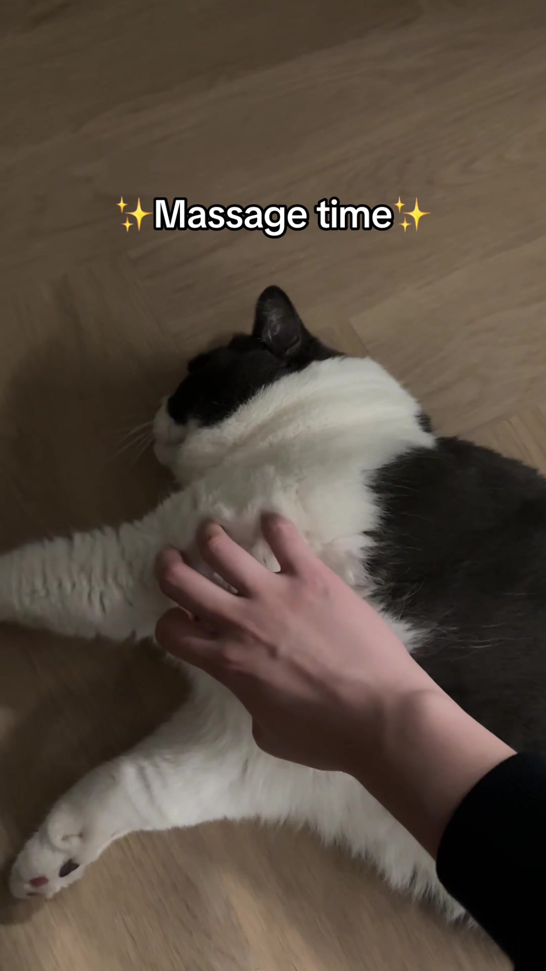 @Emojithecat